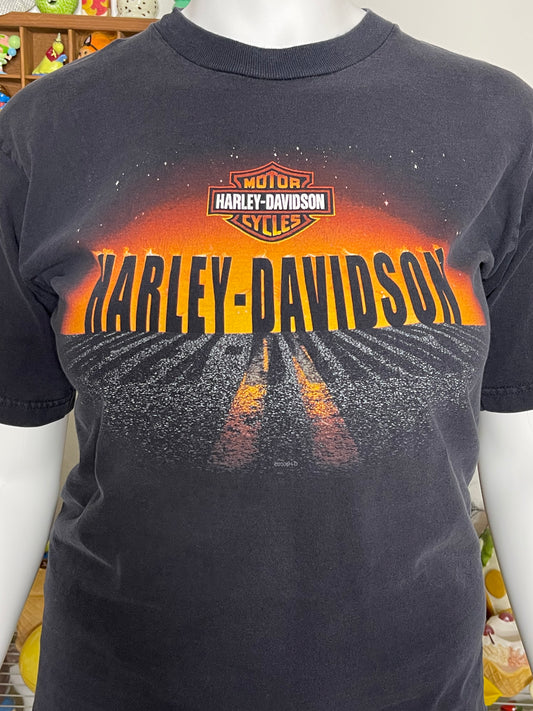2000s Harley Davidson Sunset Graphic Tee Sz L