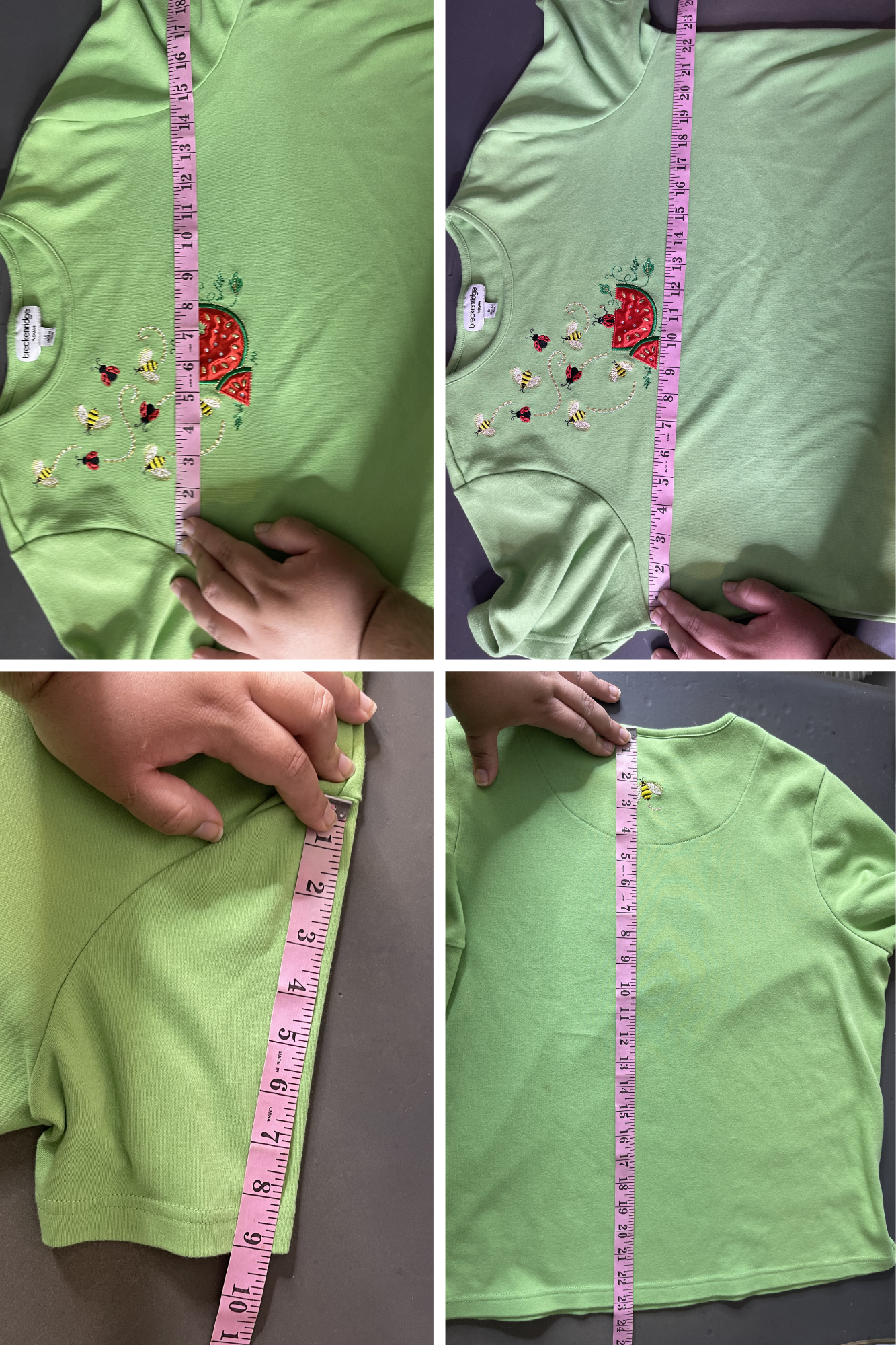 Apple Green Watermelon Lady Bug & Bee Embroidered Tee Sz 1X