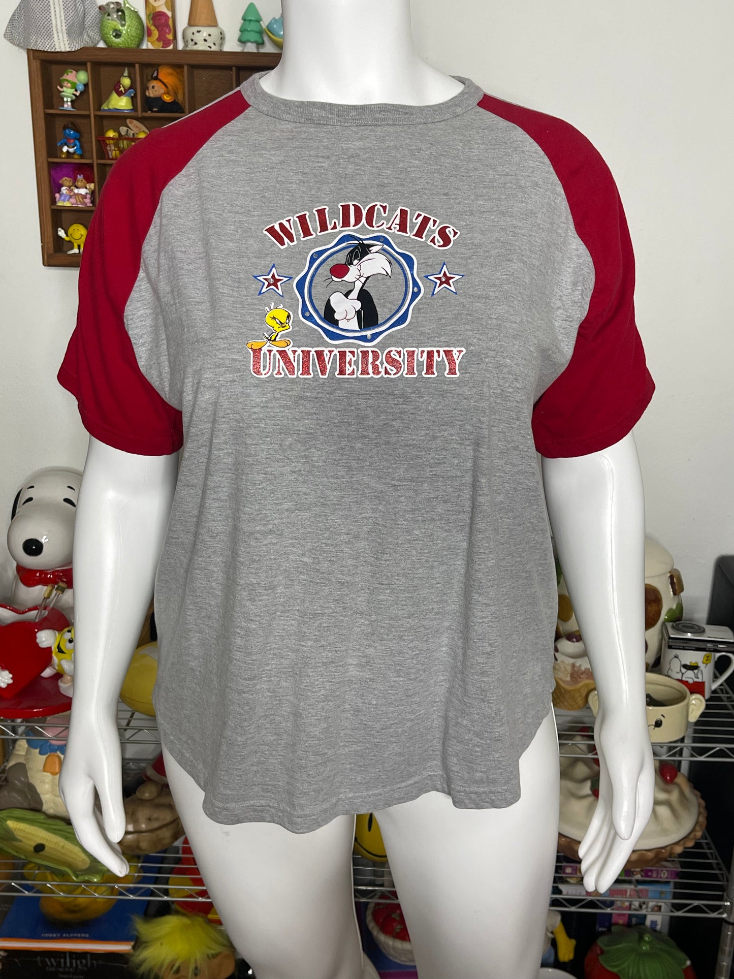 Vintage Looney Tunes Wildcats University Tee Size XXL/2X