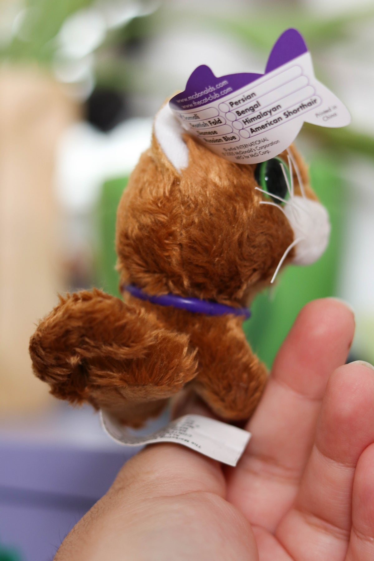 2000s THE CAT Somali Mini Plush