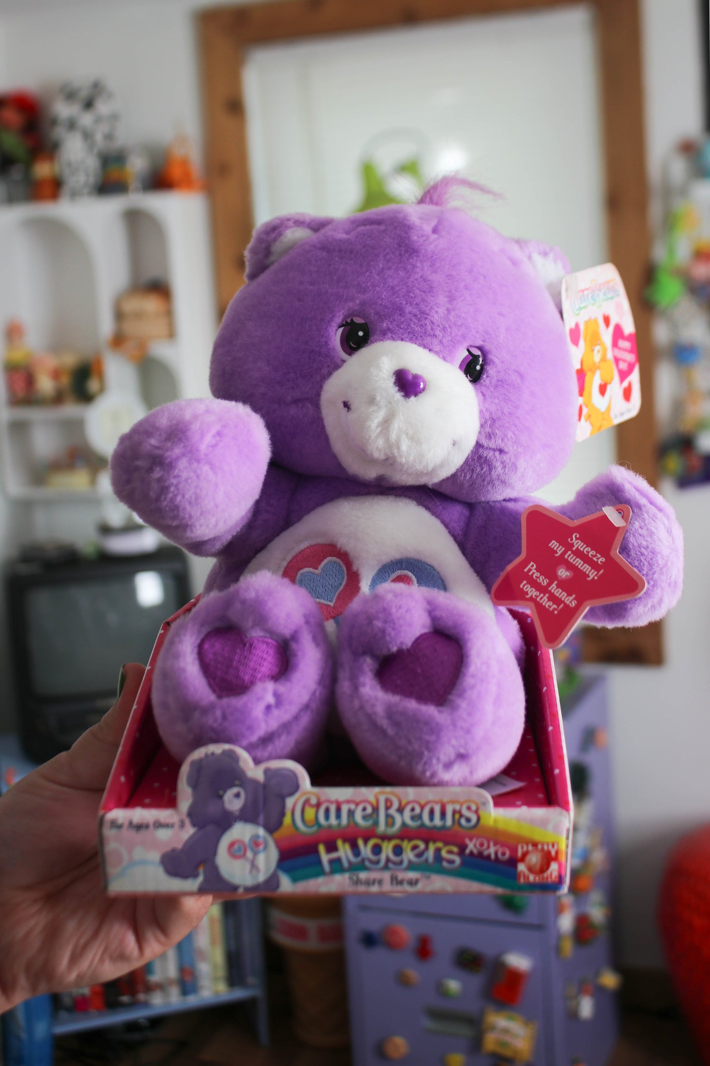 2000's Care Bears Huggers Share Bear Plush
