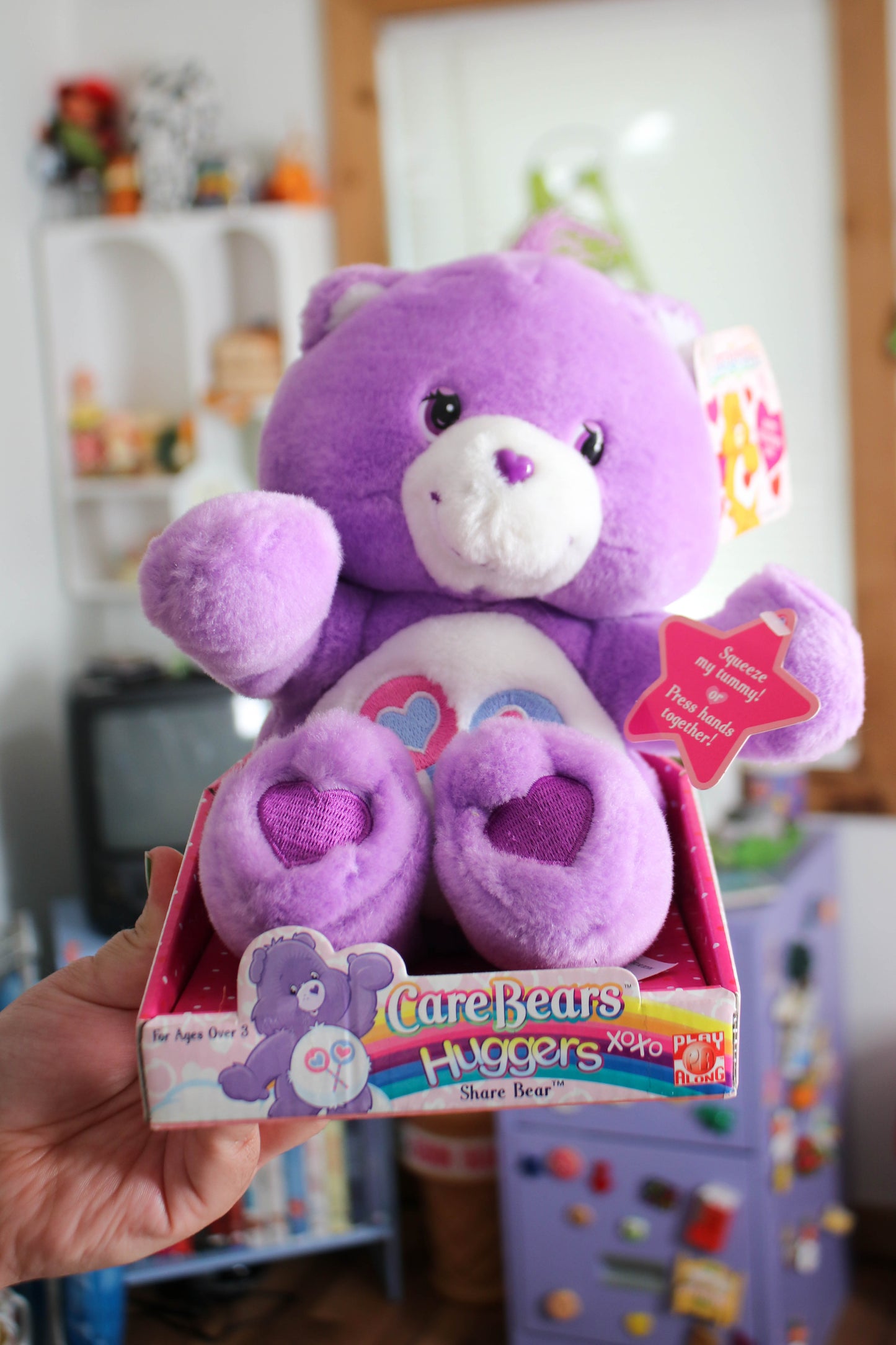 2000's Care Bears Huggers Share Bear Plush