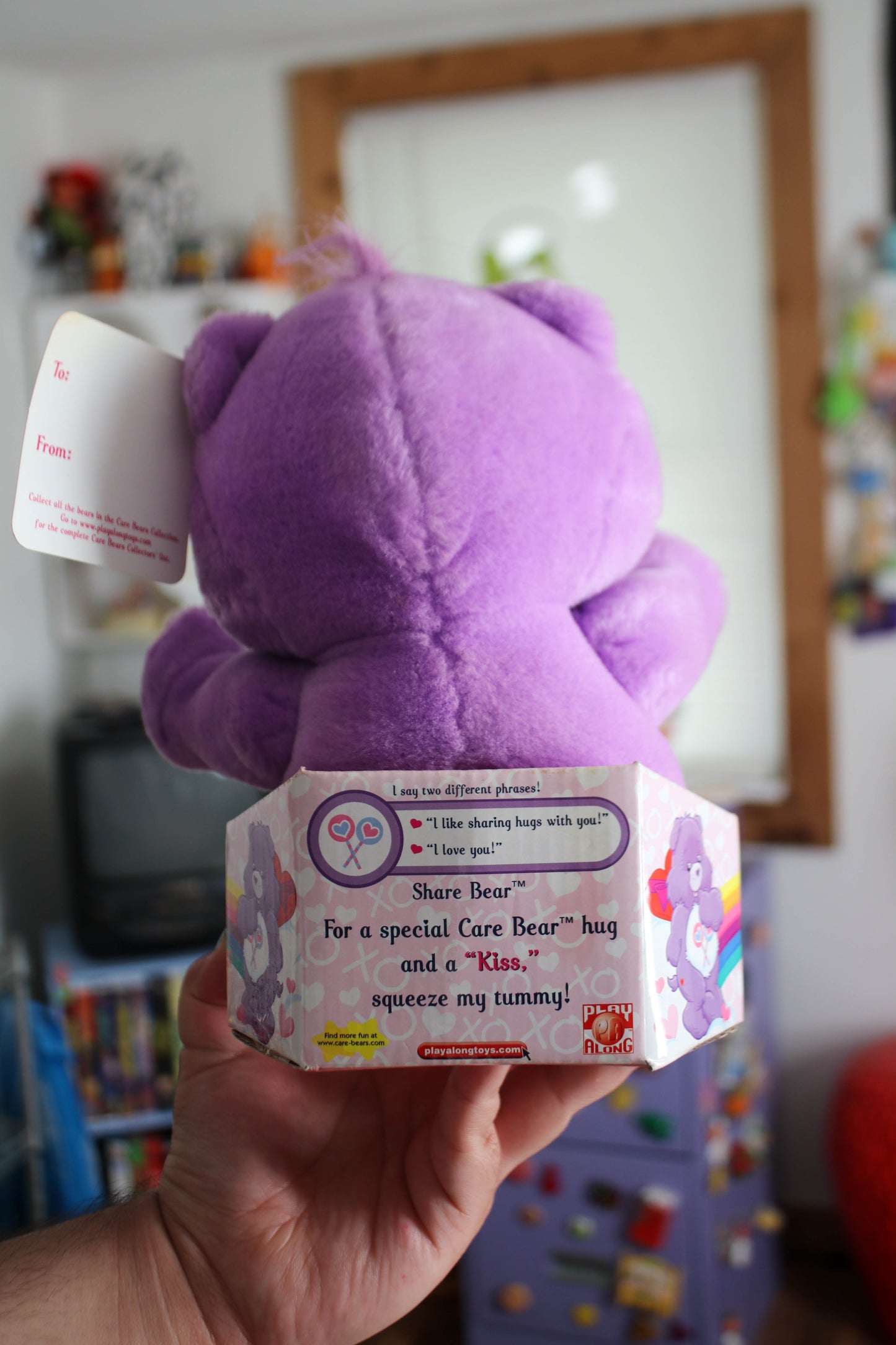 2000's Care Bears Huggers Share Bear Plush