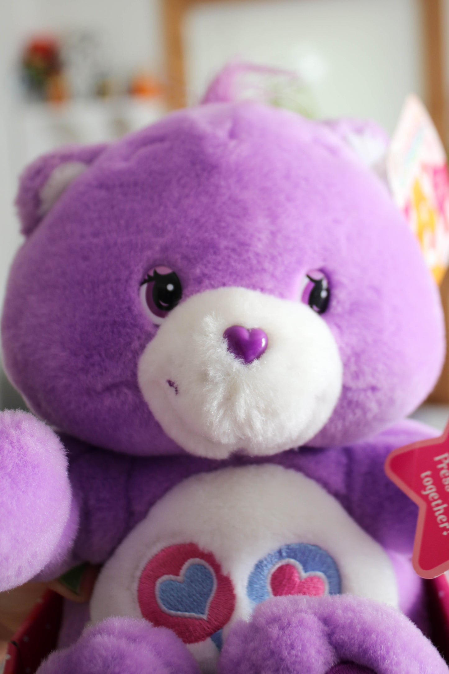 2000's Care Bears Huggers Share Bear Plush