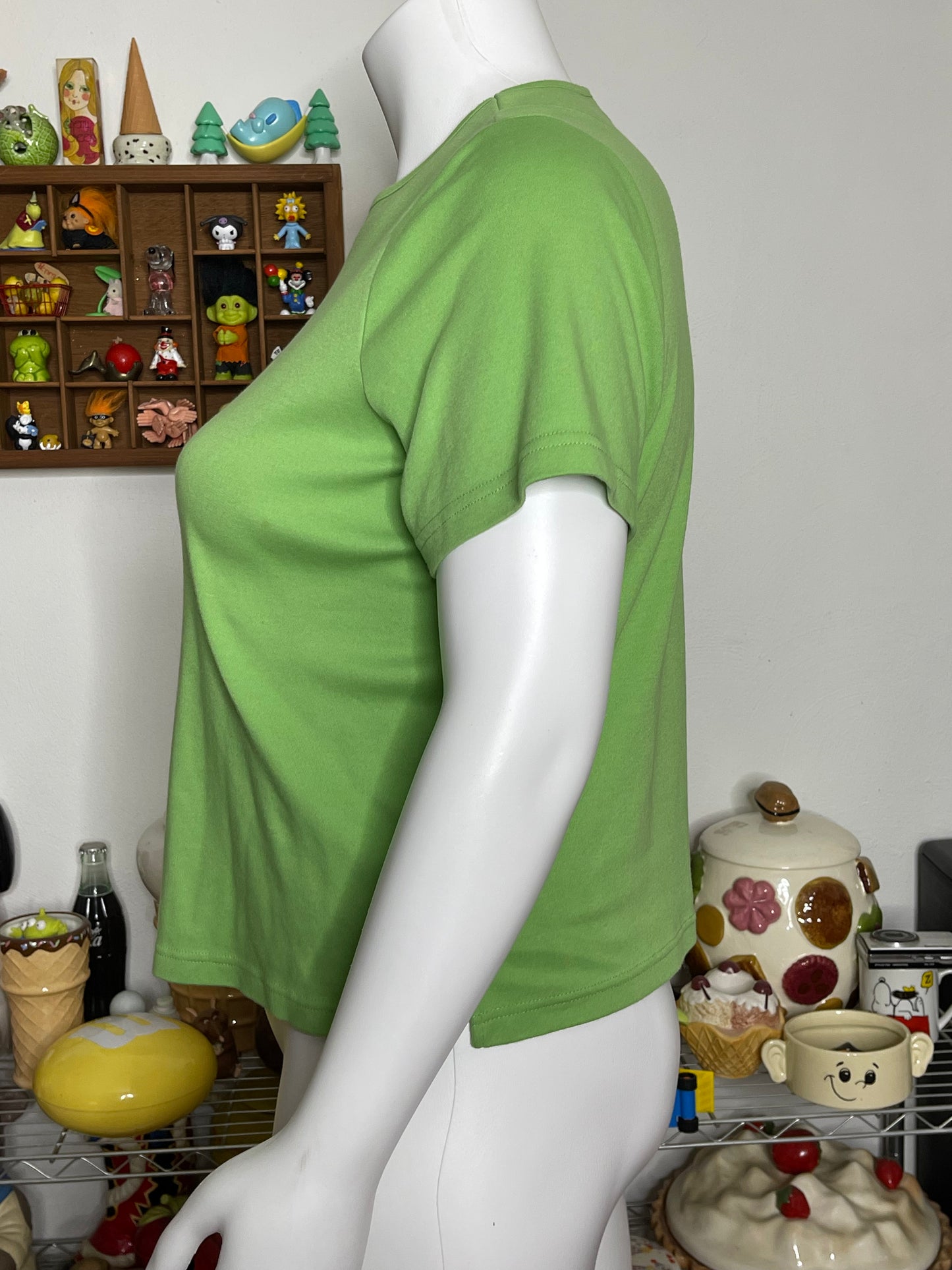 Apple Green Watermelon Lady Bug & Bee Embroidered Tee Sz 1X
