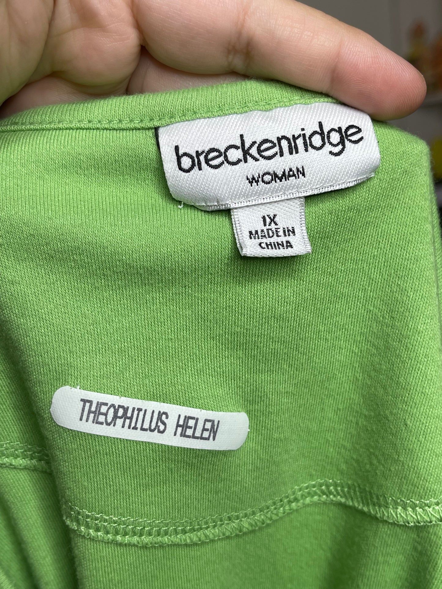 Apple Green Watermelon Lady Bug & Bee Embroidered Tee Sz 1X