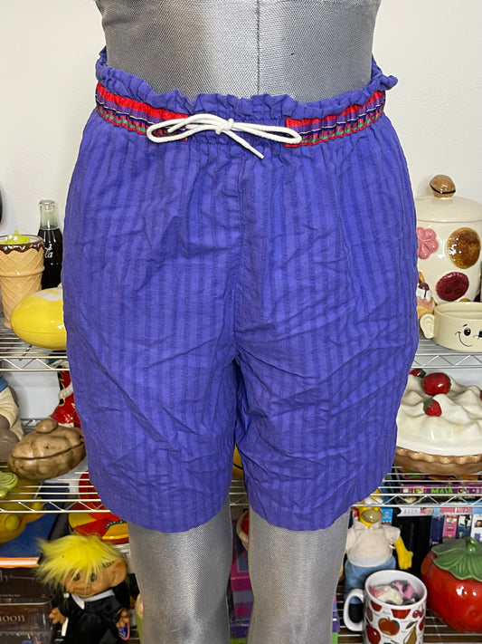 Vintage Funky Light Weight Purple Shorts Sz M