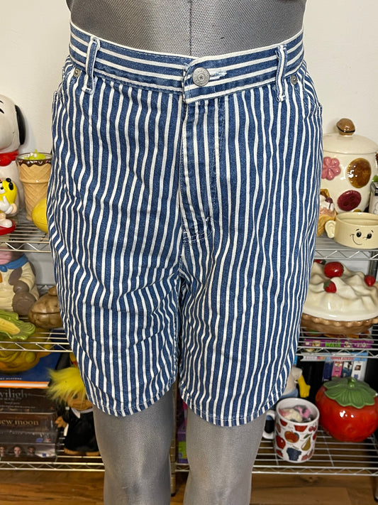 Vintage Blue & White Striped High Waisted Shorts Sz 18 33in