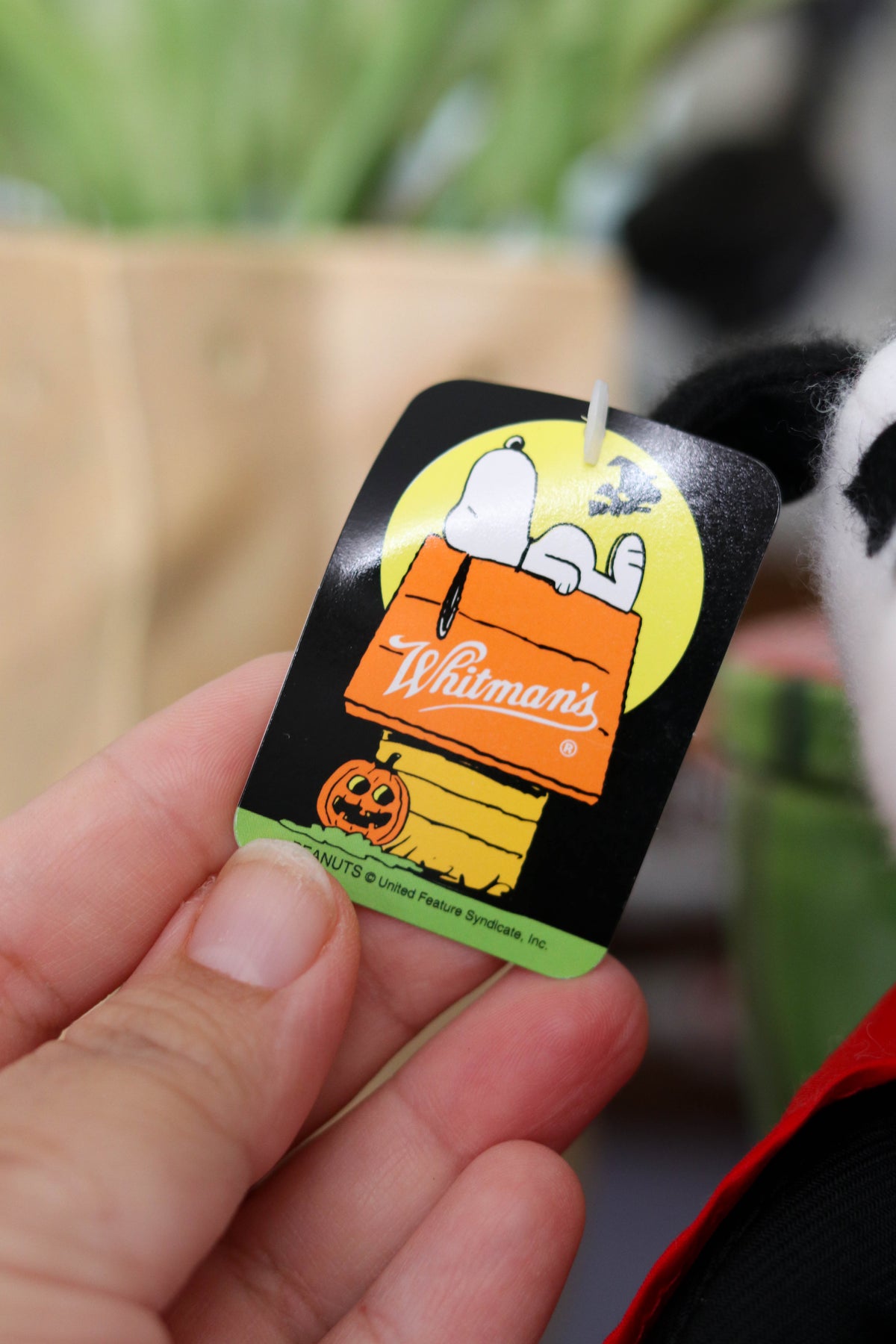 2000s Dracula Snoopy Halloween Mini Plush (A)