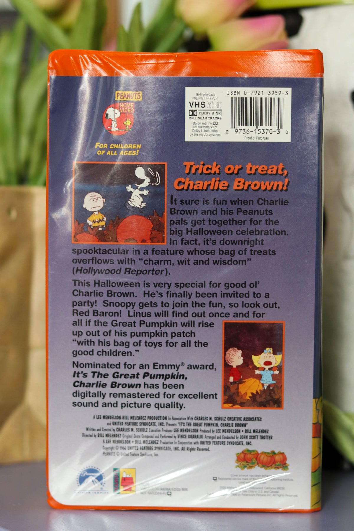 It's The Great Pumpkin, Charlie Brown VHS Movie