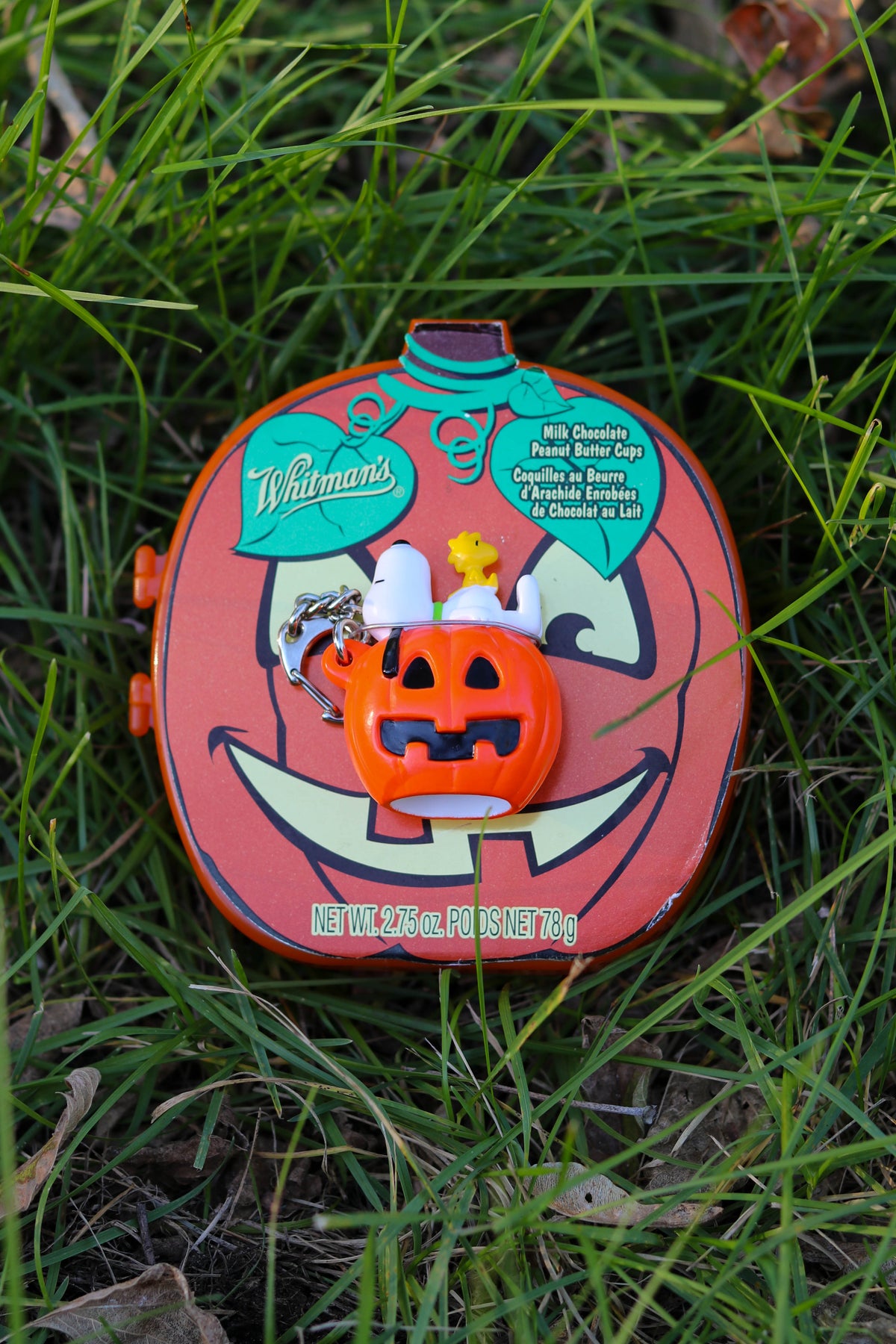 2000s Snoopy & Woodstock Pumpkin Keychain + Case (B)