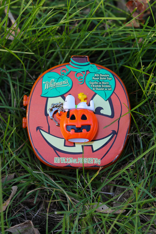 2000s Snoopy & Woodstock Pumpkin Keychain + Case (B)