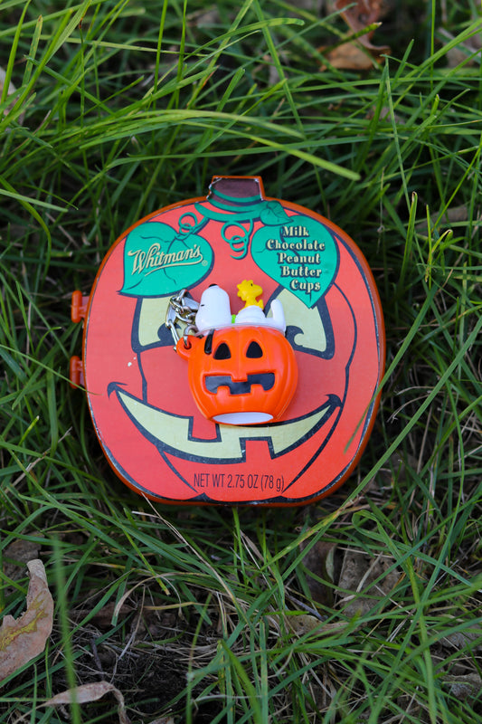 2000s Snoopy &amp; Woodstock Pumpkin Keychain + Case (A)