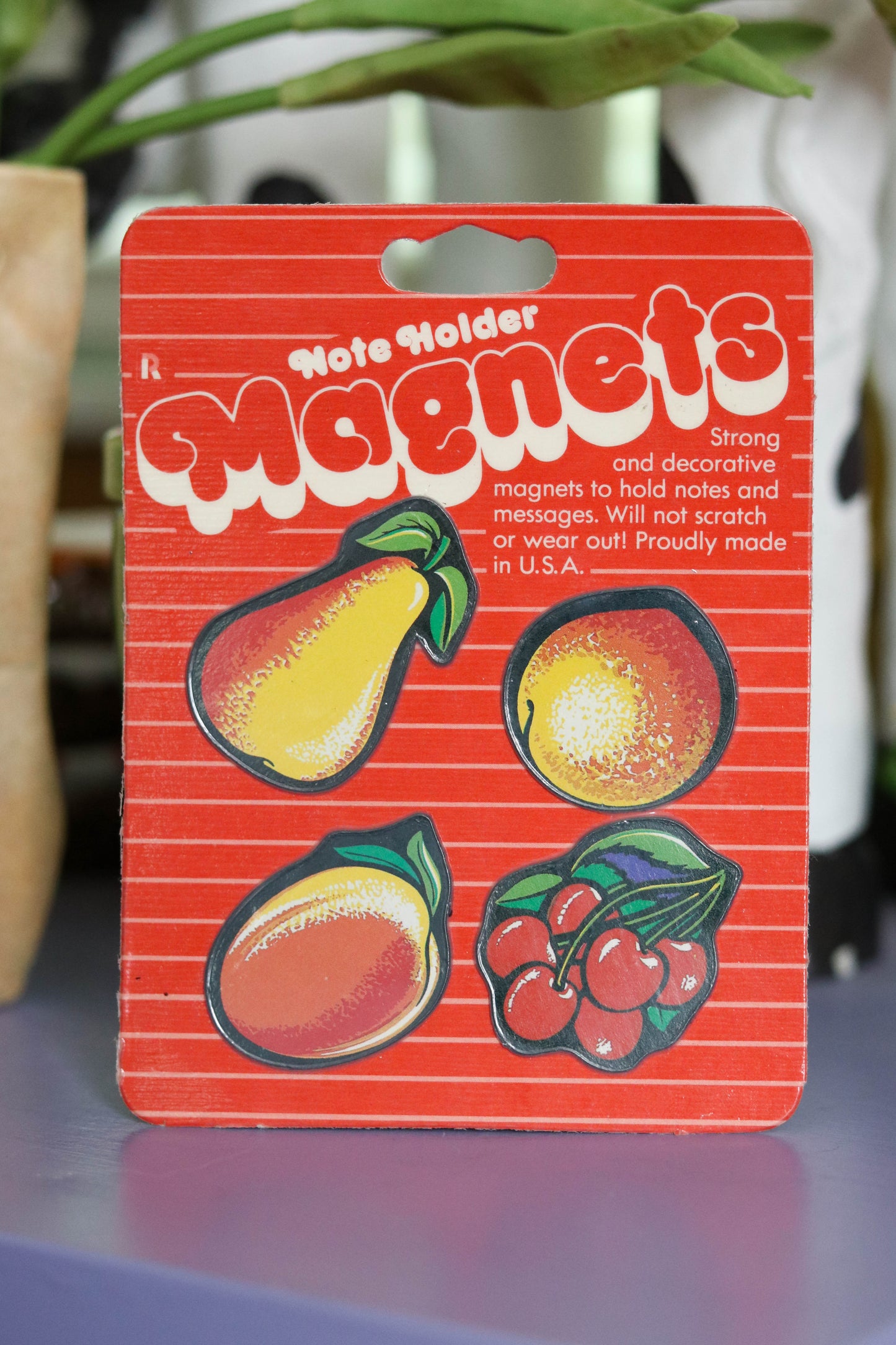 Vintage Deadstock Fruit Magnets Note Holders