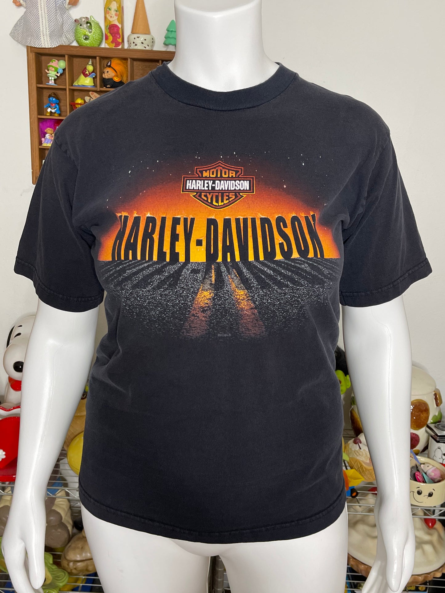 2000s Harley Davidson Sunset Graphic Tee Sz L