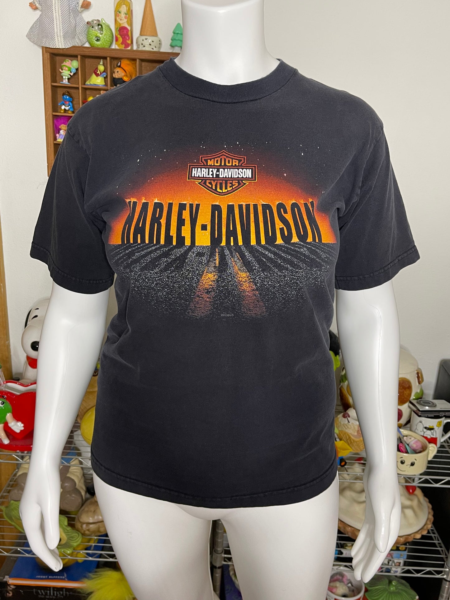 2000s Harley Davidson Sunset Graphic Tee Sz L
