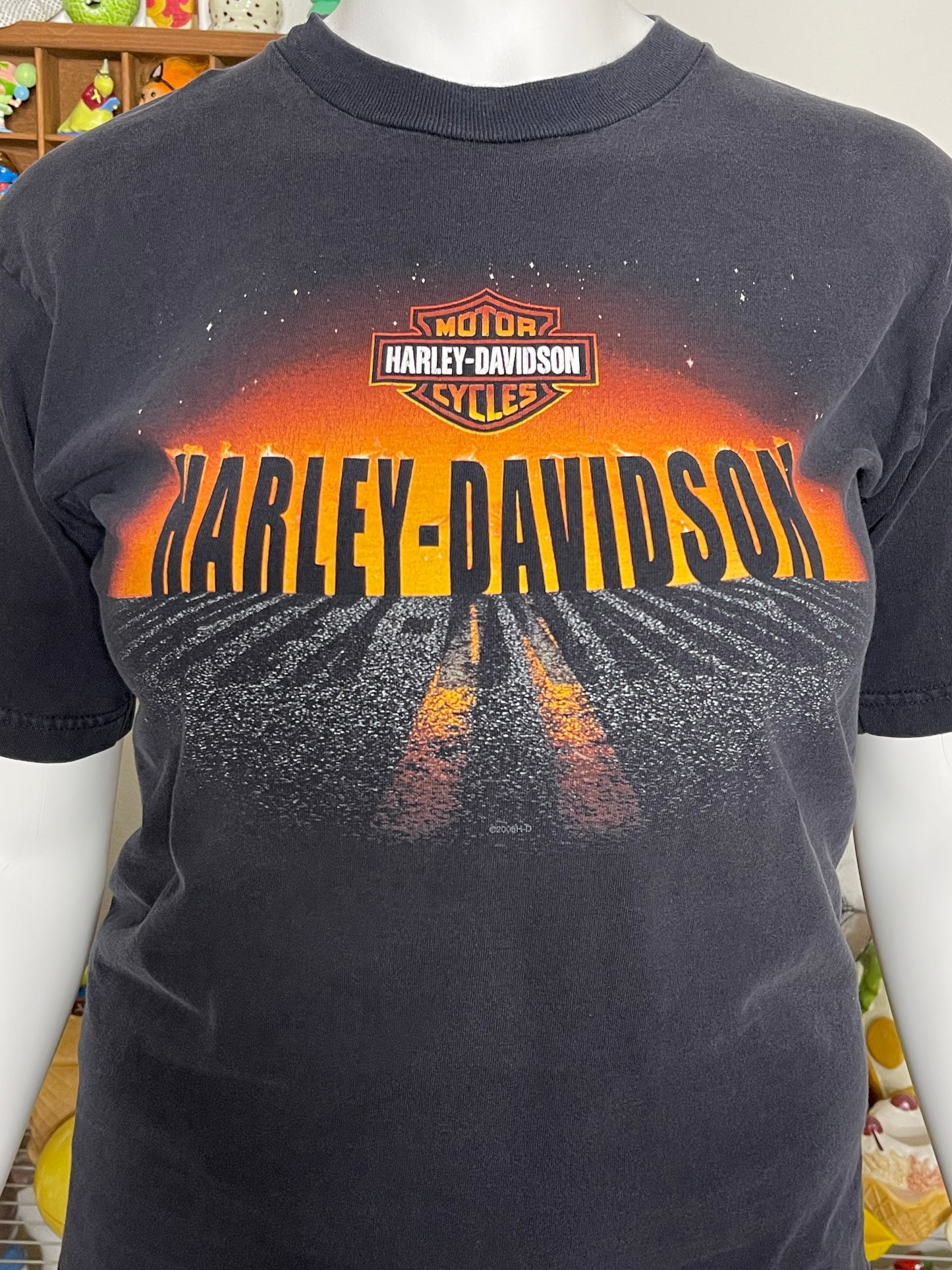 2000s Harley Davidson Sunset Graphic Tee Sz L
