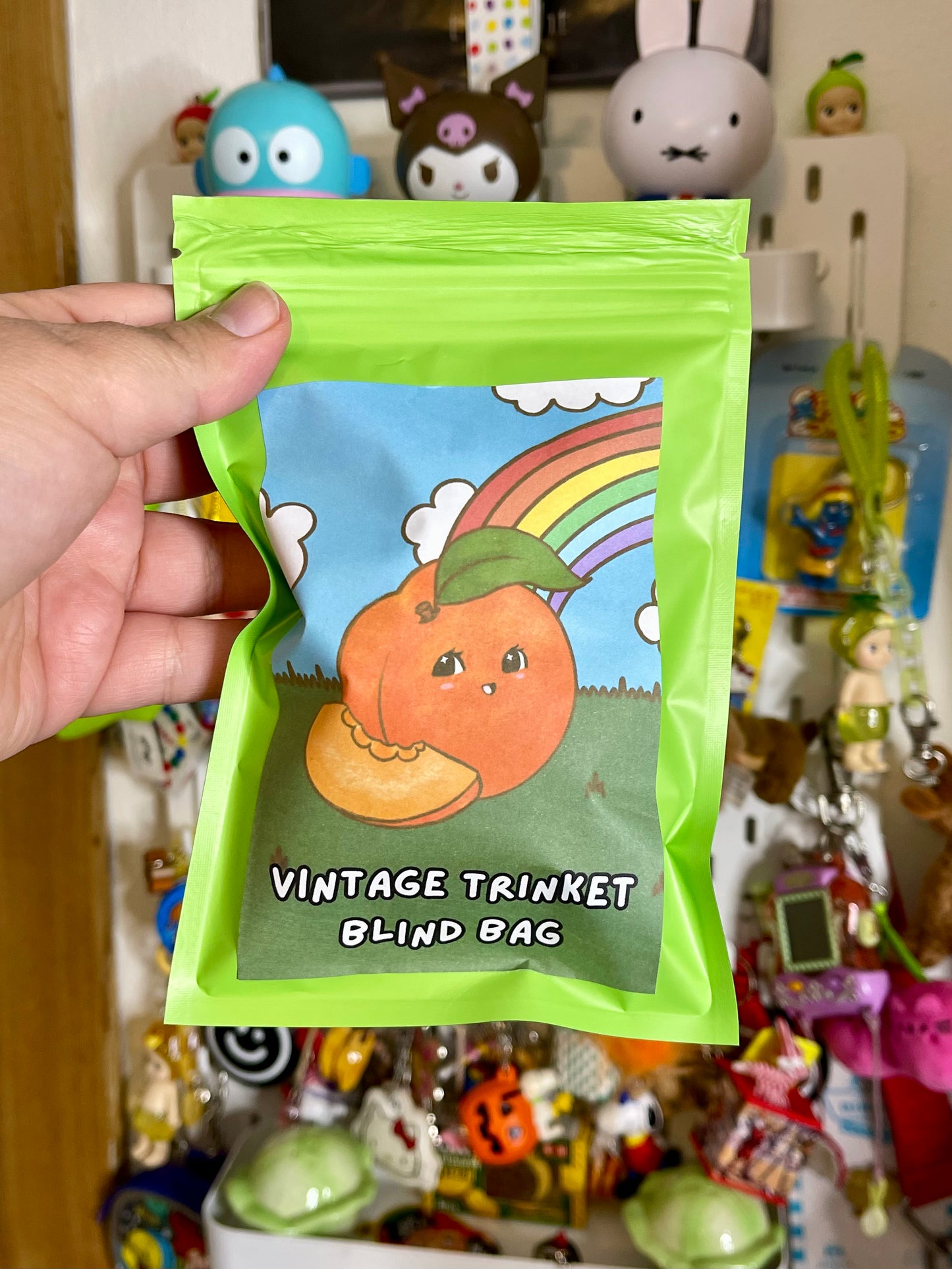 Vintage 90s Keychain Plush Blind Bag (1)