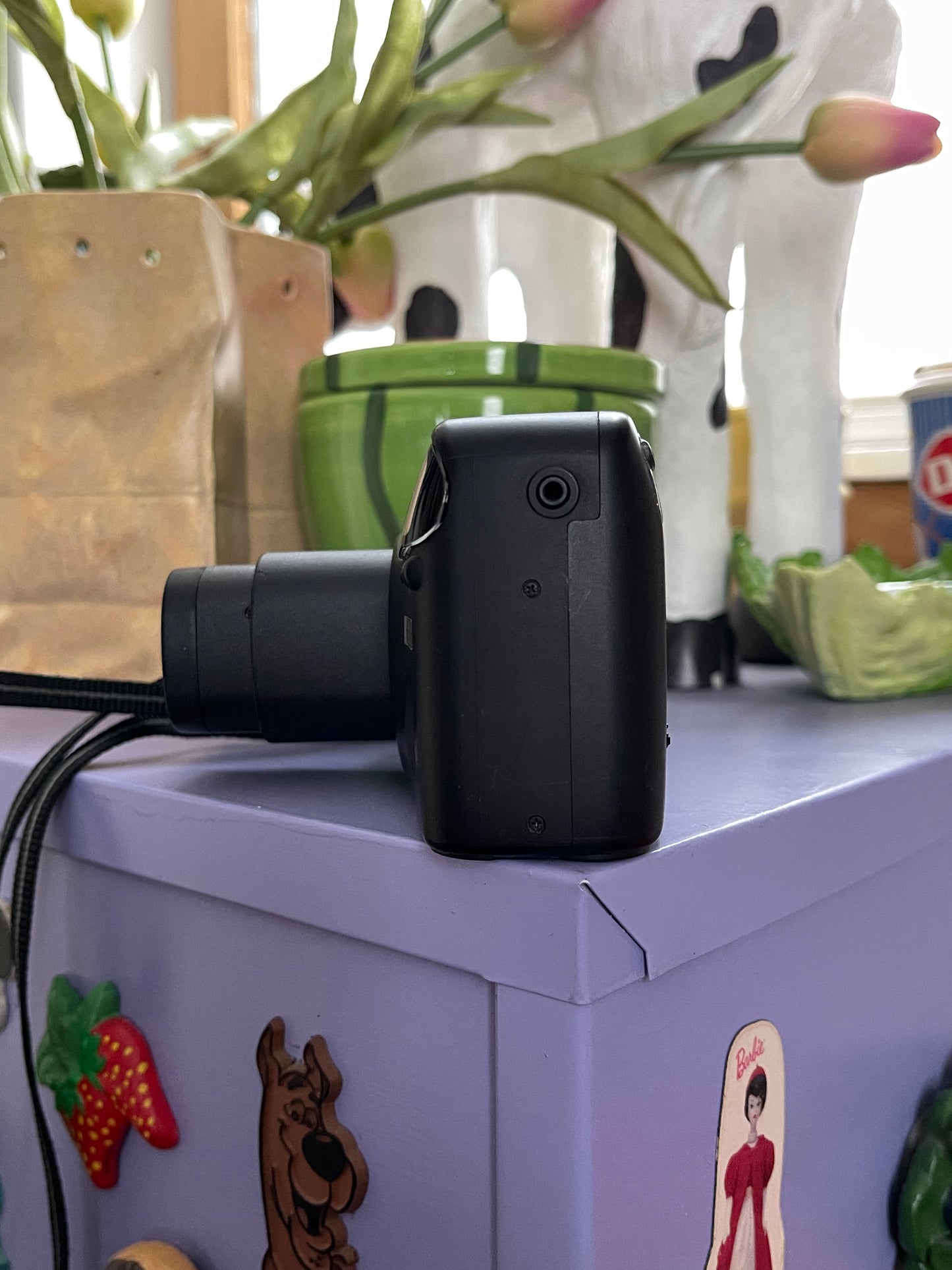 Richoh RZ-900 35mm Film Point & Shoot Camera