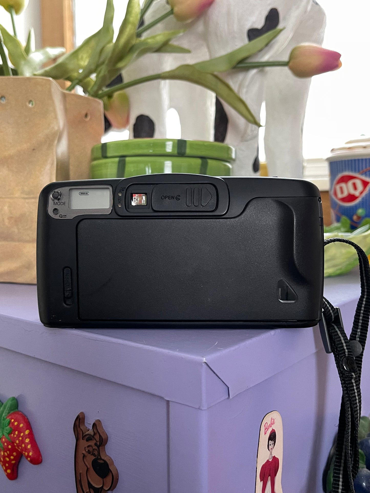 Richoh RZ-900 35mm Film Point & Shoot Camera