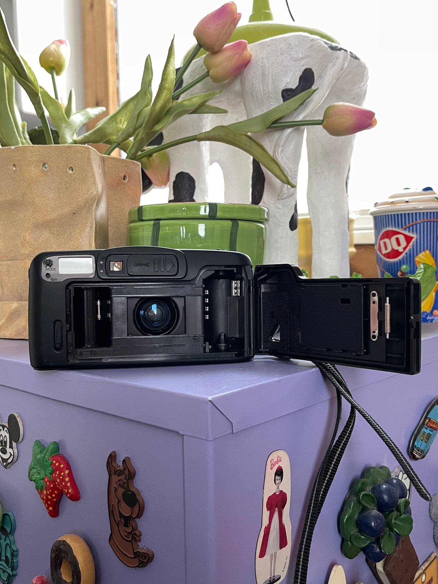 Richoh RZ-900 35mm Film Point & Shoot Camera