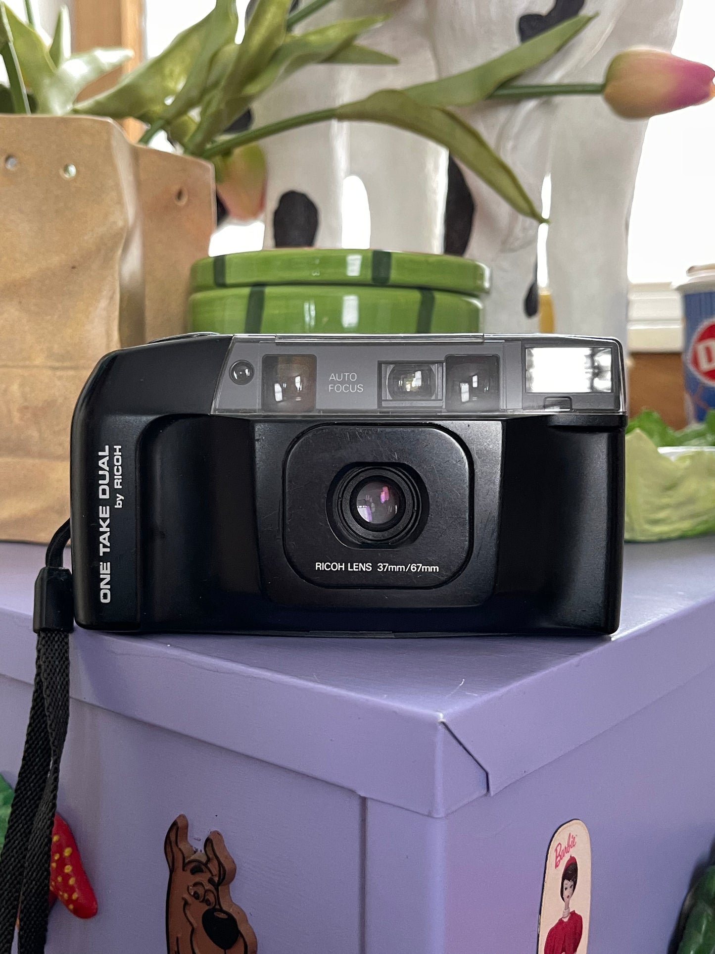 Ricoh One Take Dual 35mm Film Point & Shoot Camera