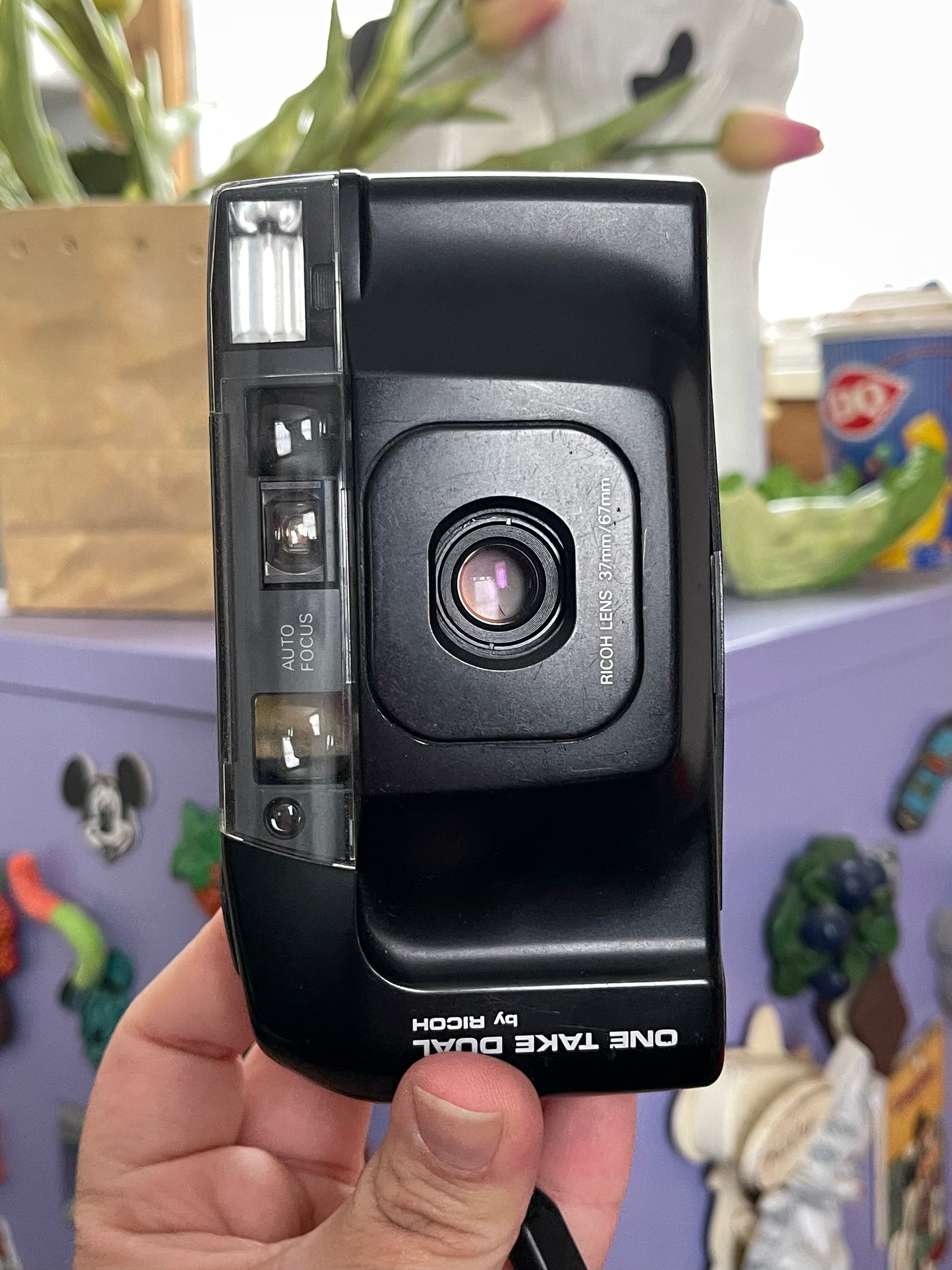 Ricoh One Take Dual 35mm Film Point & Shoot Camera