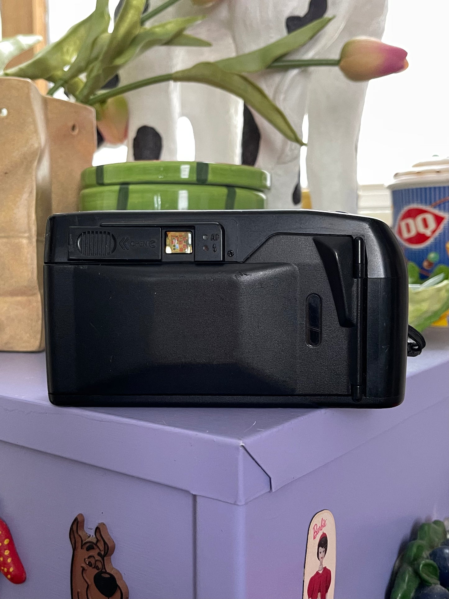 Ricoh One Take Dual 35mm Film Point & Shoot Camera