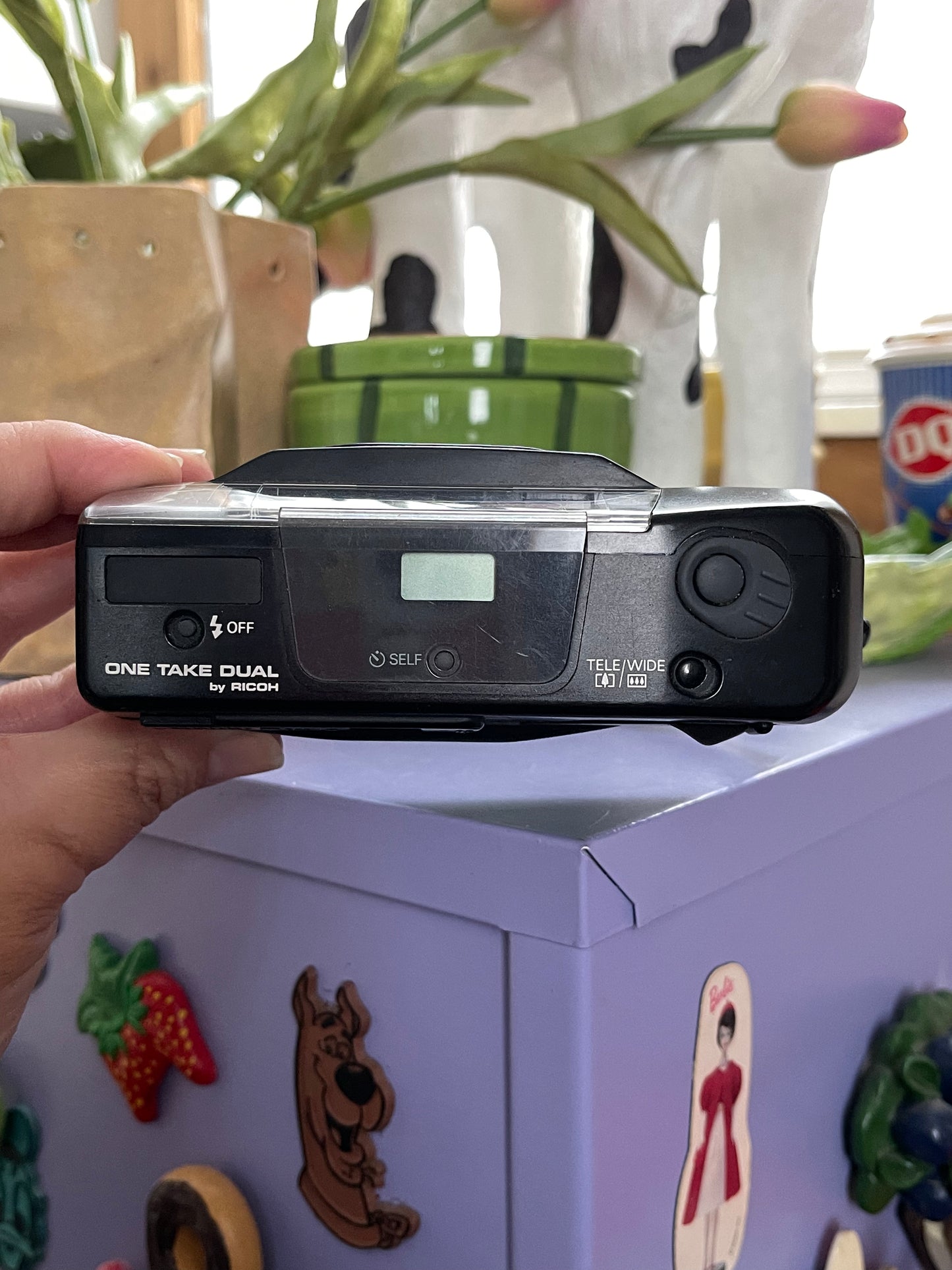 Ricoh One Take Dual 35mm Film Point & Shoot Camera