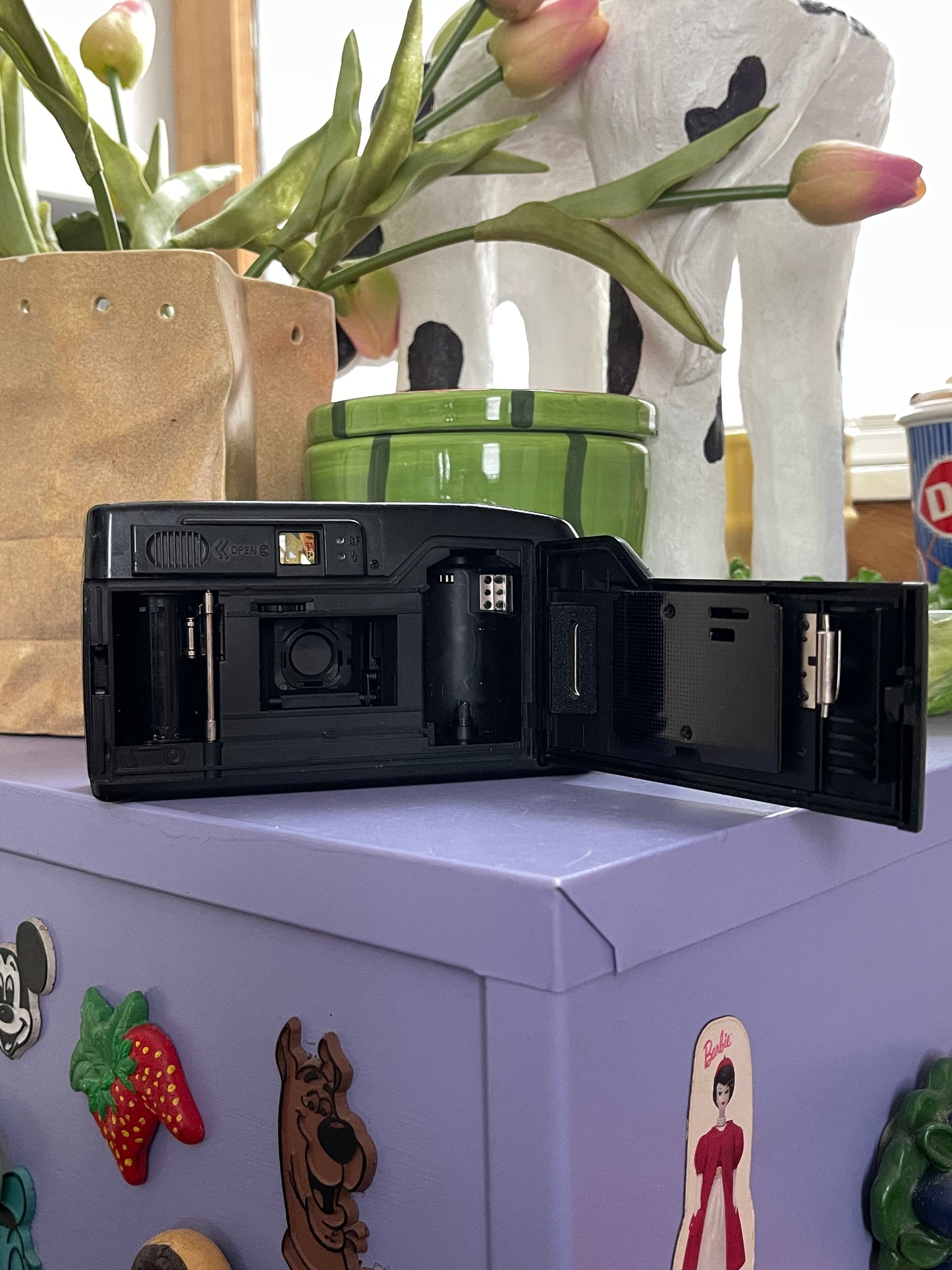 Ricoh One Take Dual 35mm Film Point & Shoot Camera