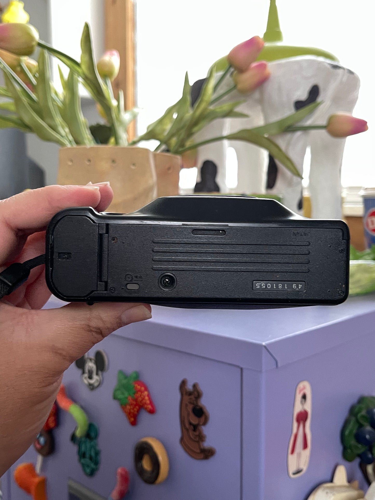 Ricoh One Take Dual 35mm Film Point & Shoot Camera