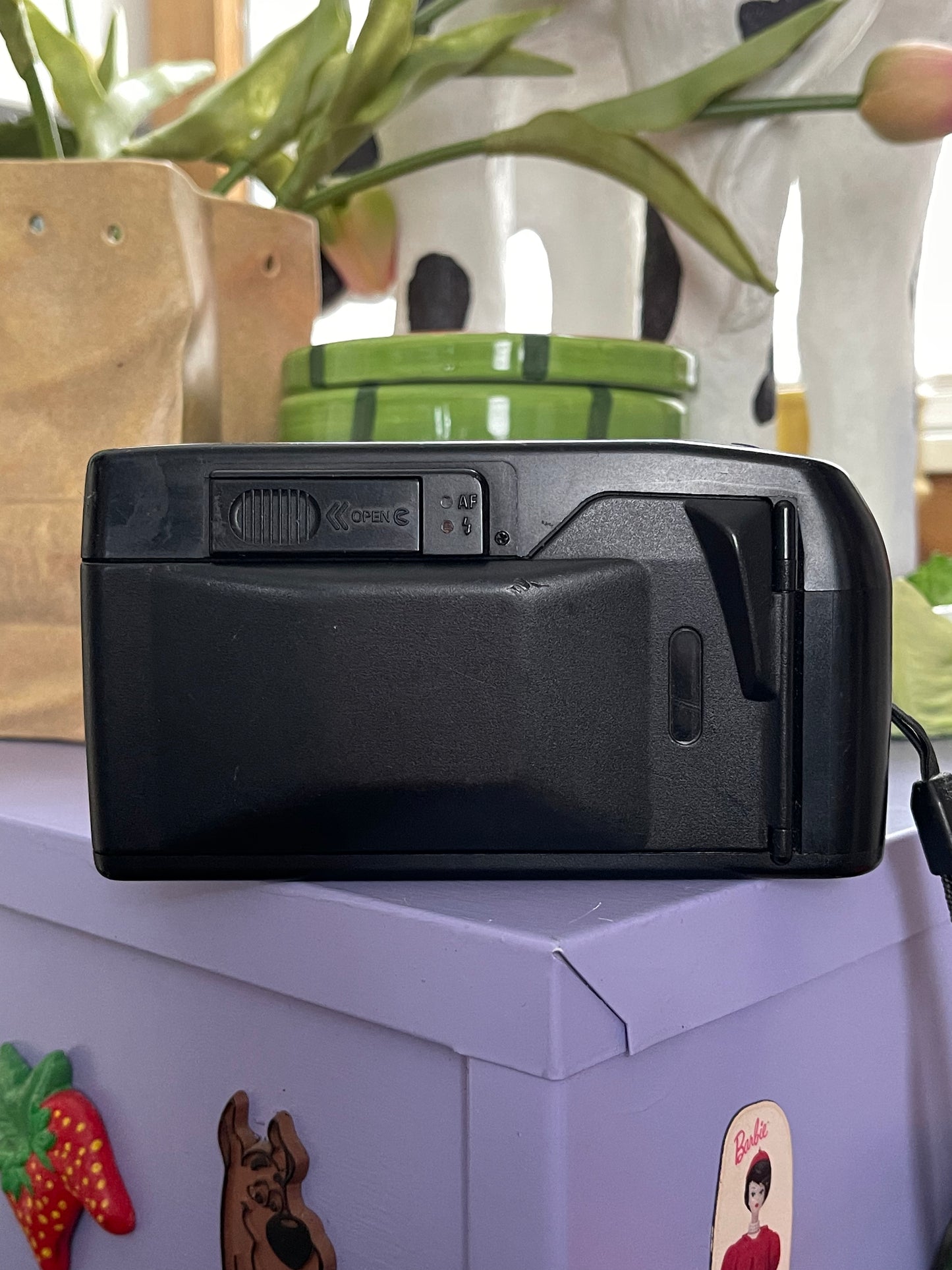 Ricoh One Take Dual 35mm Film Point & Shoot Camera