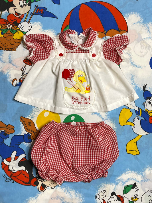 Vintage Big Bird Red Gingham Baby Dress + Bloomers 2pc Set Sz 12M