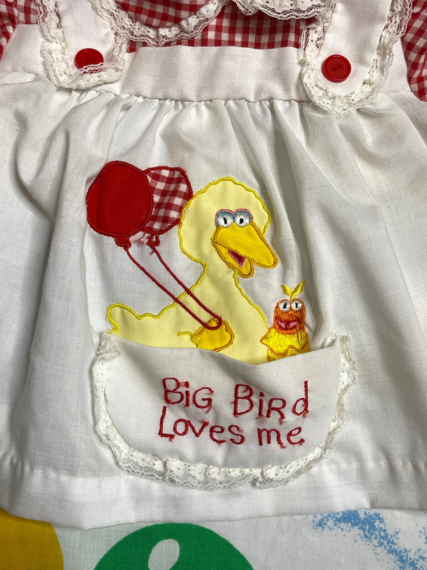 Vintage Big Bird Red Gingham Baby Dress + Bloomers 2pc Set Sz 12M