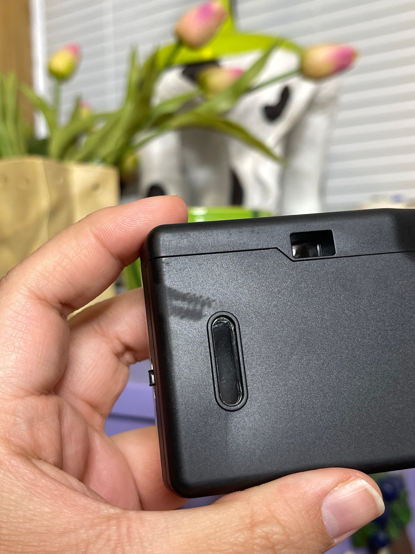 Bell + Howell Focus Free 28mm "Toy" 35mm Film Camera