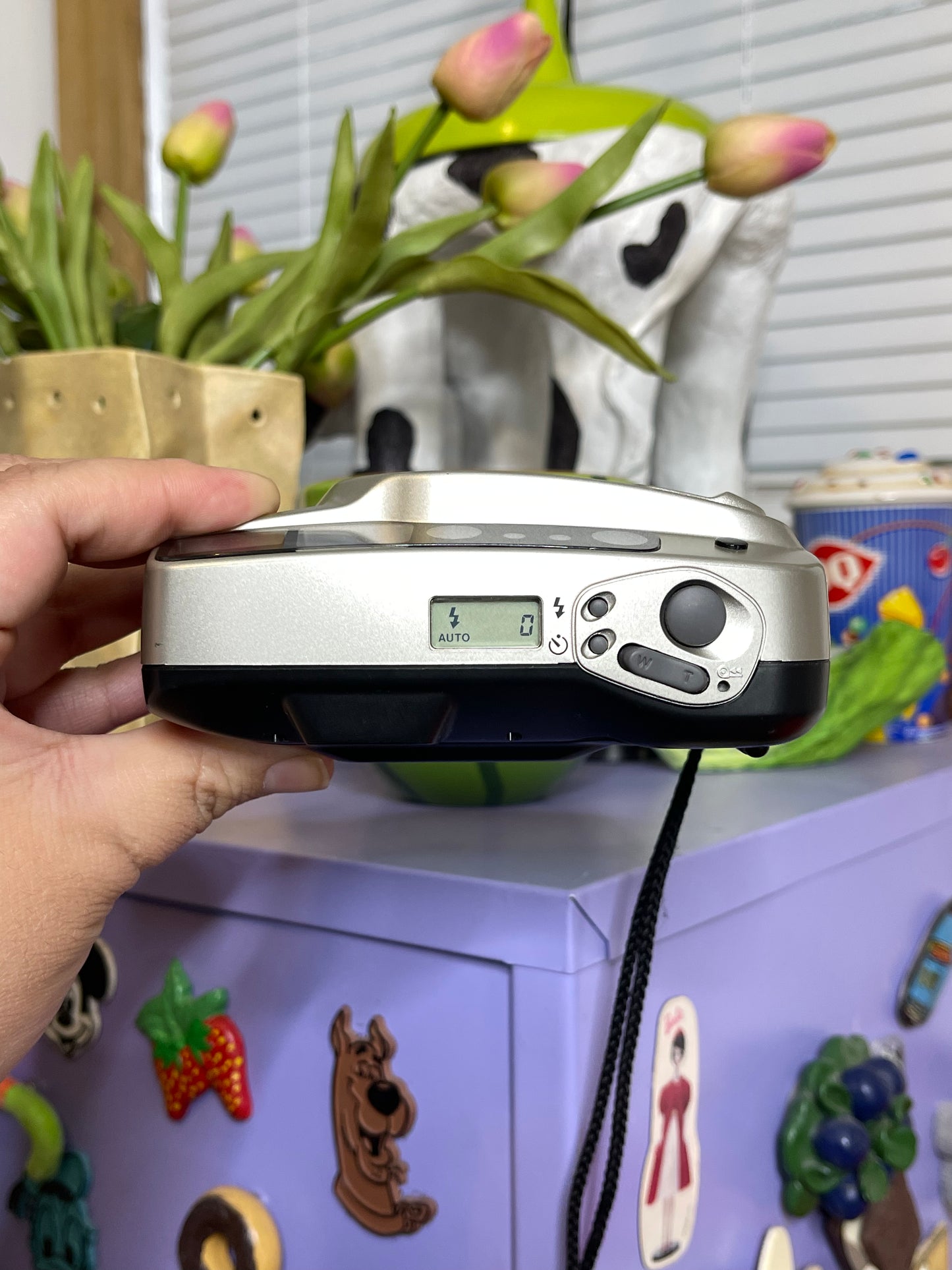 Minolta Freedom Zoom 70 Date 35mm Film Camera