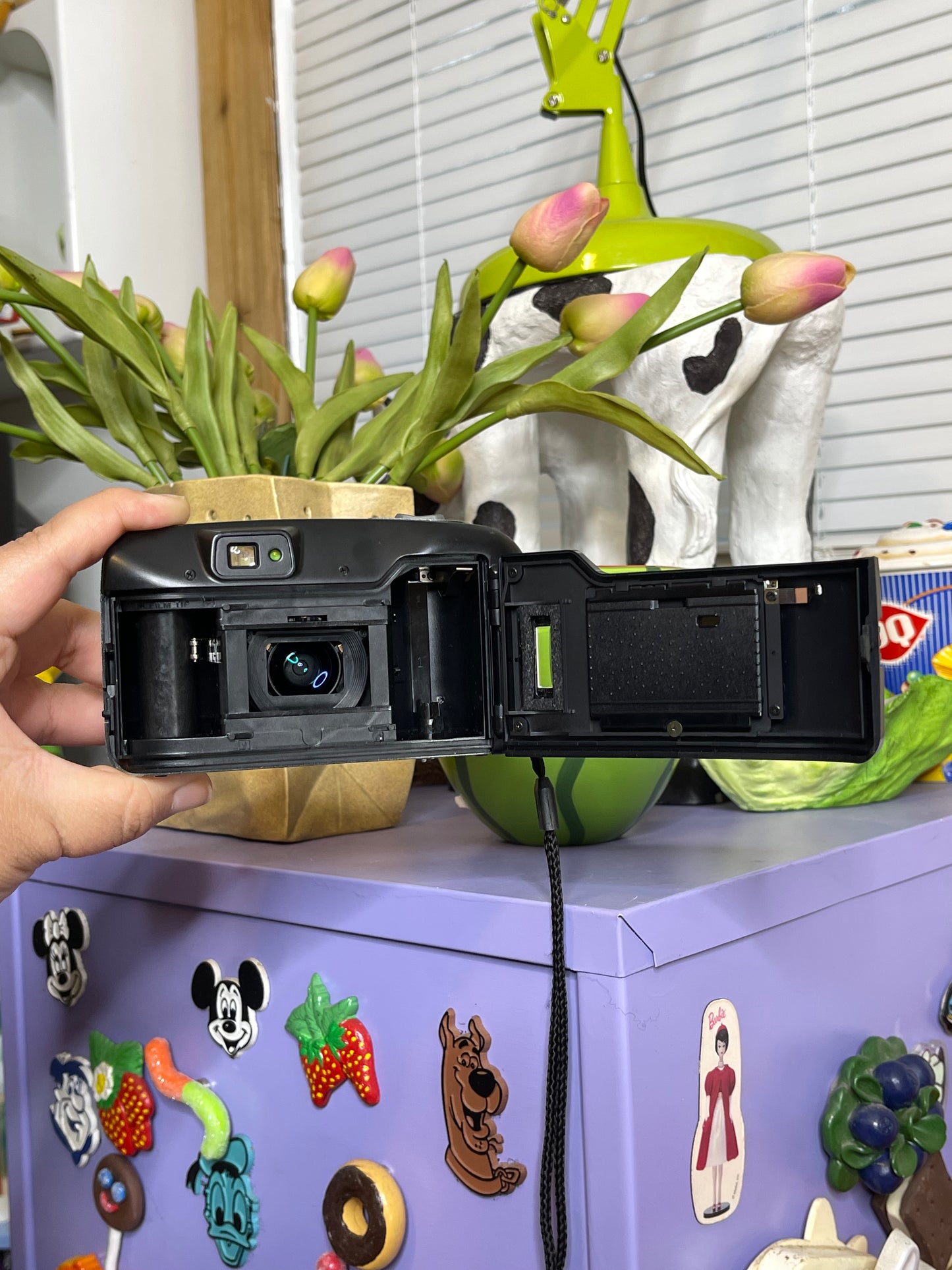 Minolta Freedom Zoom 70 Date 35mm Film Camera