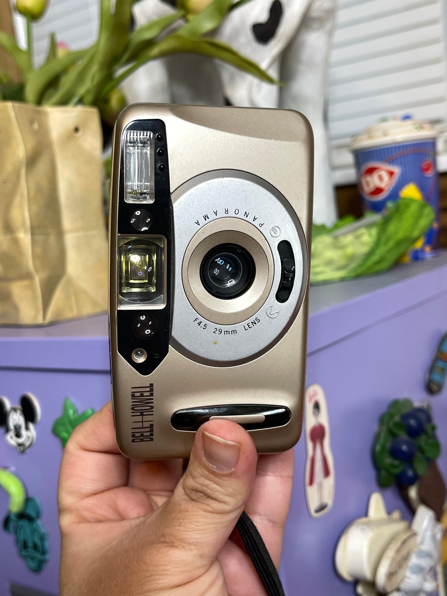 Bell + Howell Dual View Panorama Date 35mm Film Camera