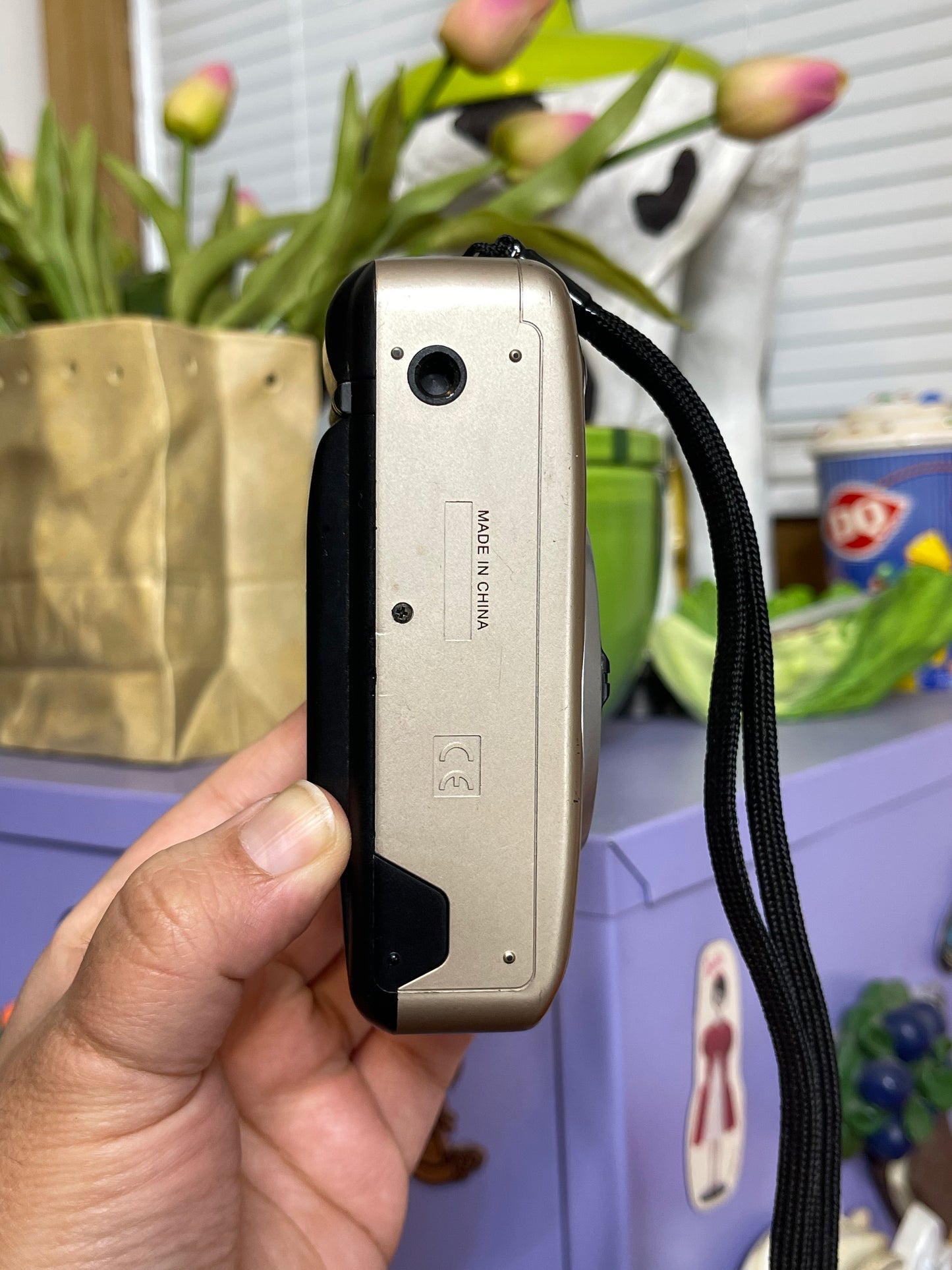 Bell + Howell Dual View Panorama Date 35mm Film Camera