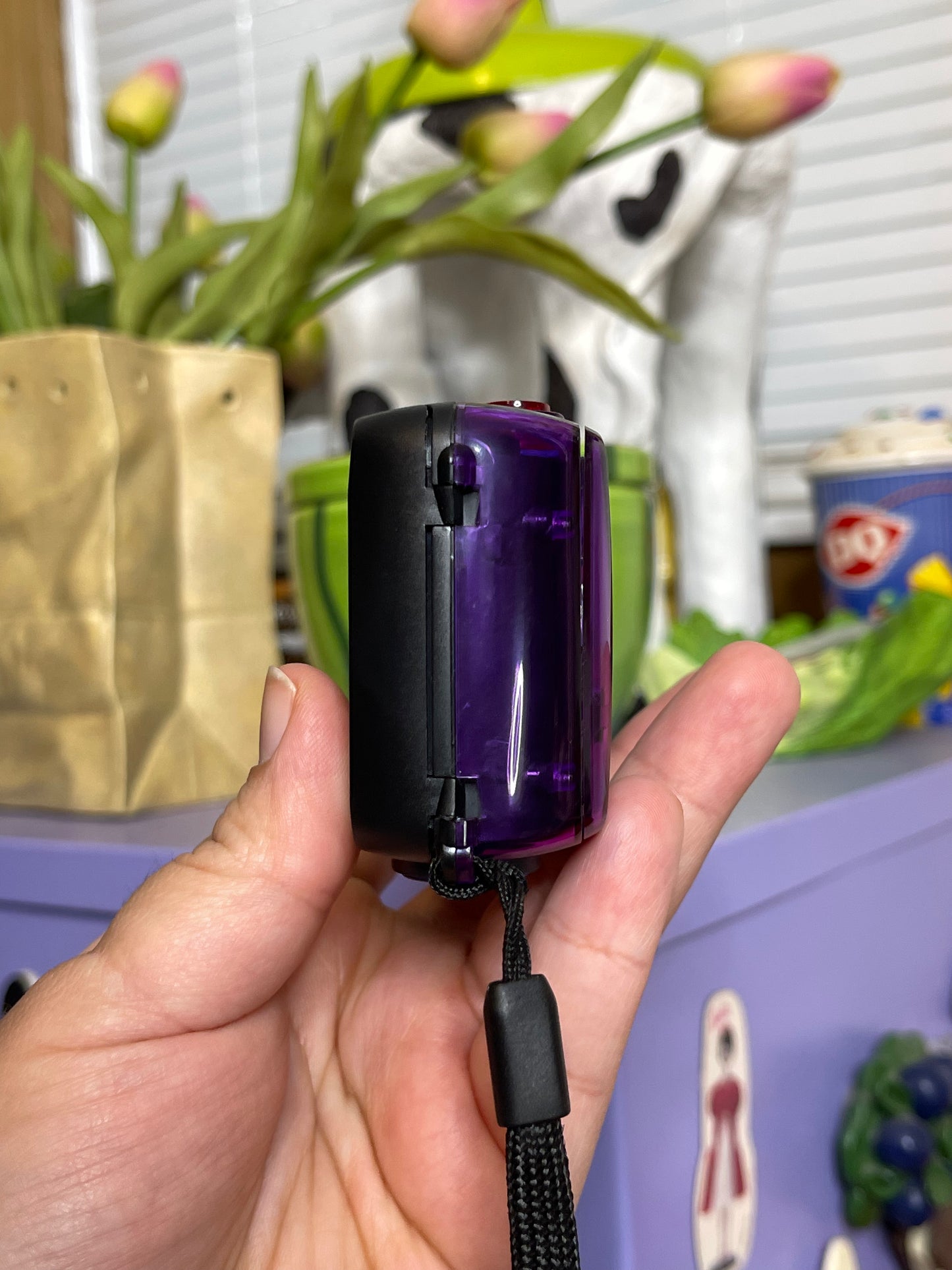 Cobra 310 Transparent Crystal Panorama 35mm Film Camera