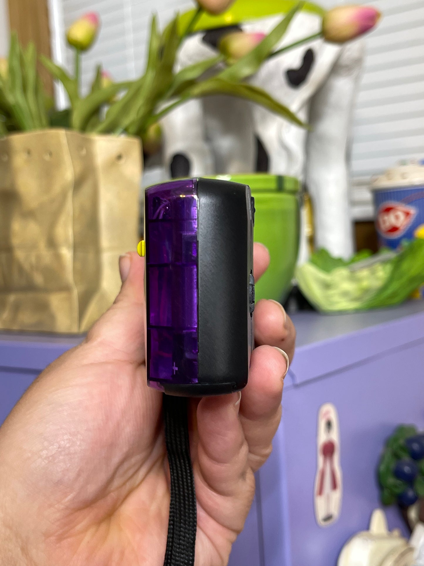 Cobra 310 Transparent Crystal Panorama 35mm Film Camera