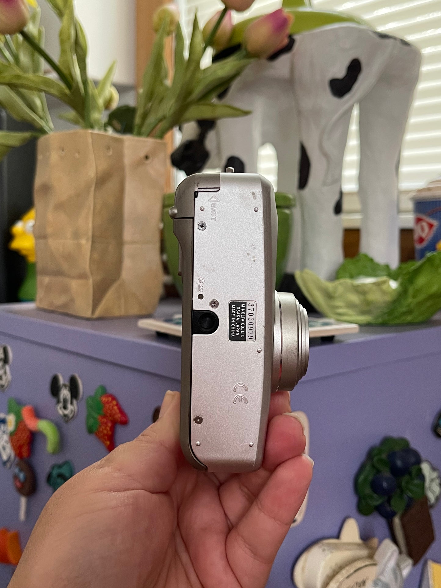 Minolta Freedom Zoom 125 Date 35mm Film Camera