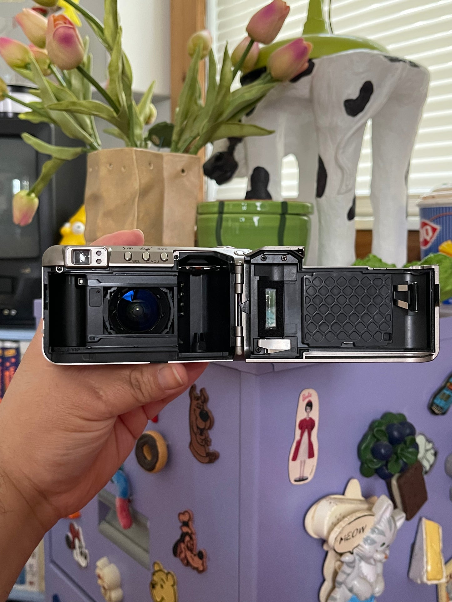 Minolta Freedom Zoom 125 Date 35mm Film Camera