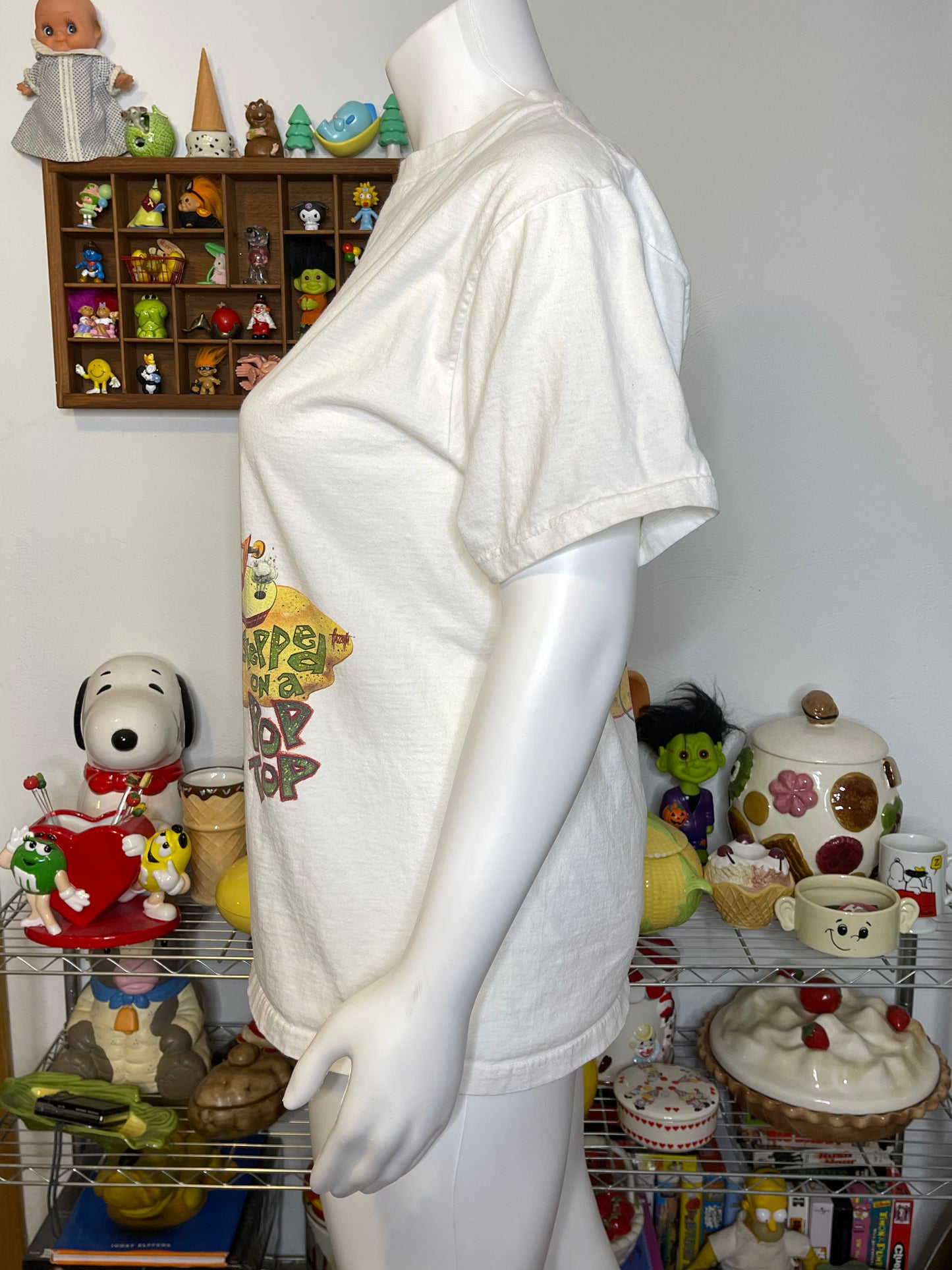Vintage 90s Parrot Wastin' Away Again Graphic Tee Sz XL