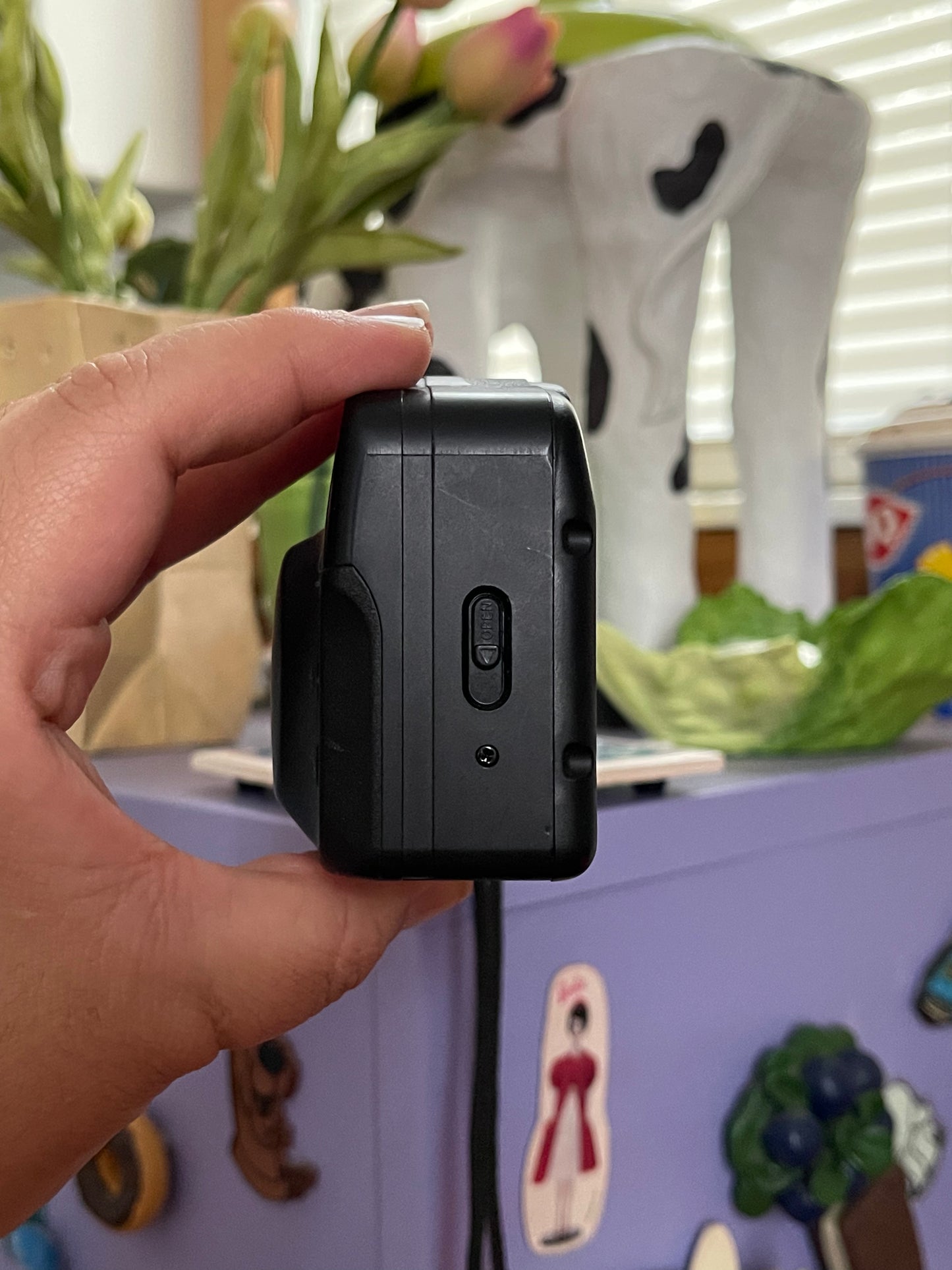 Canon Snappy LX 35mm Film Camera