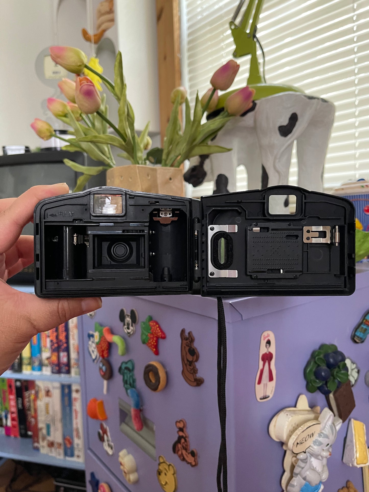 Canon Snappy LX 35mm Film Camera