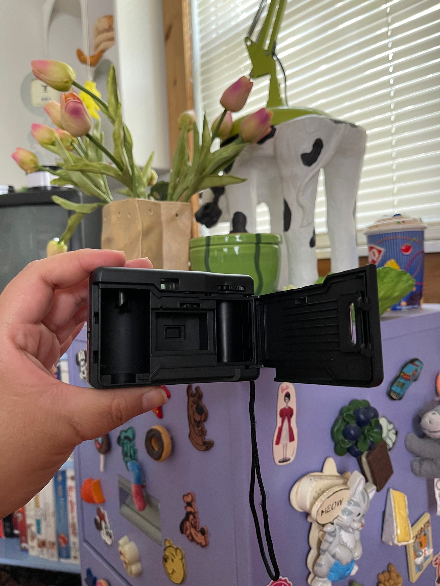 Bell + Howell Focus Free 28mm "Toy" 35mm Film Camera