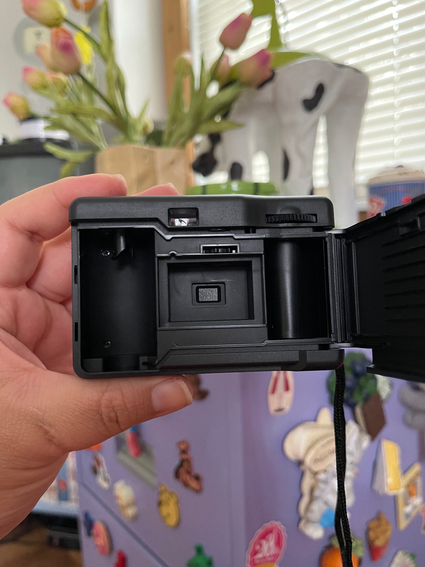 Bell + Howell Focus Free 28mm "Toy" 35mm Film Camera