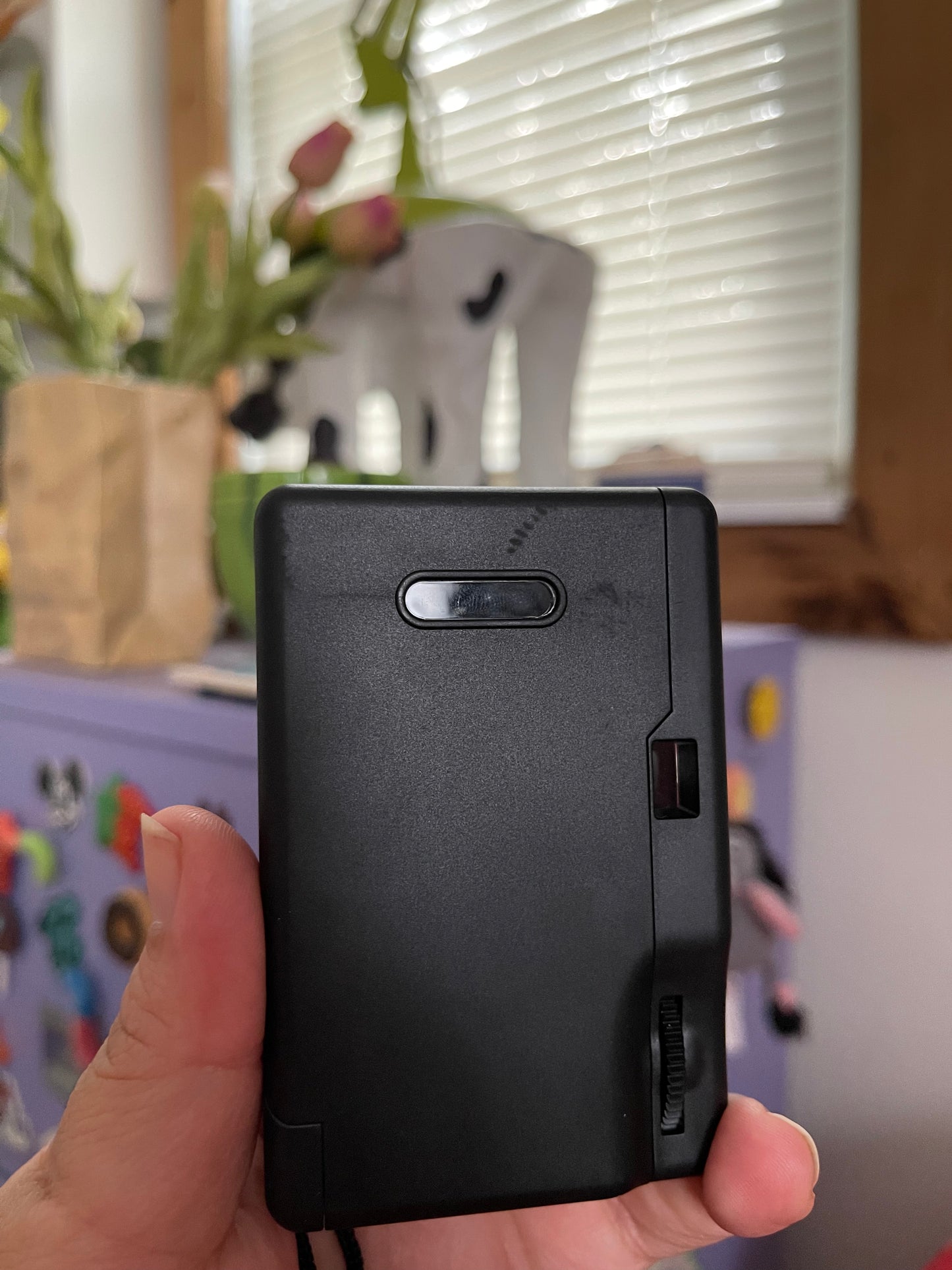 Bell + Howell Focus Free 28mm "Toy" 35mm Film Camera