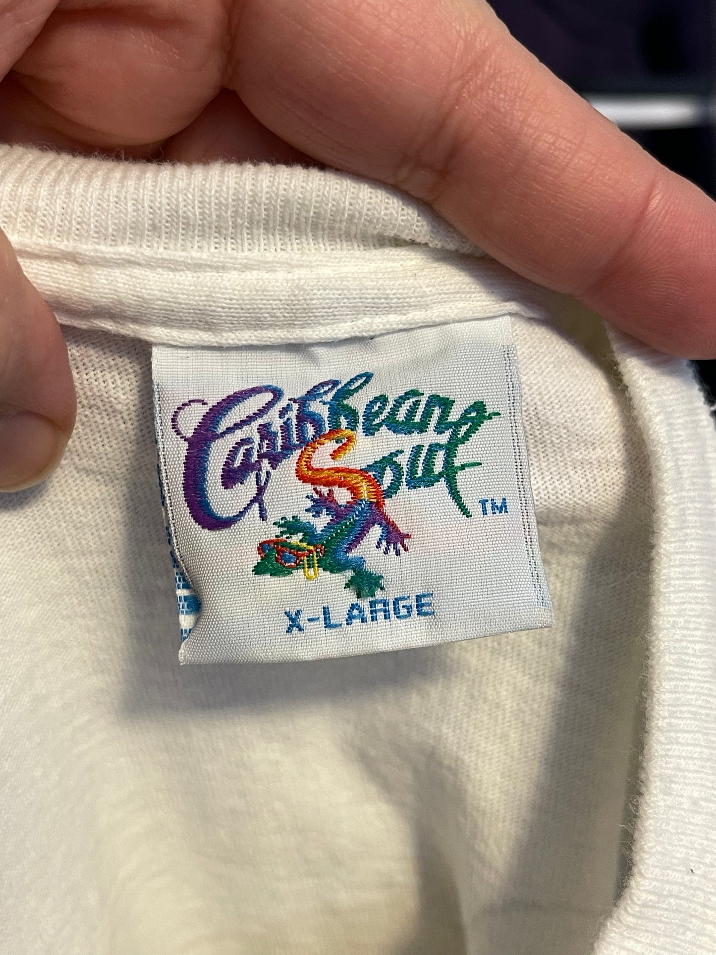 Vintage 90s Parrot Wastin' Away Again Graphic Tee Sz XL